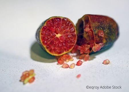 Microcitrus - Citron caviar