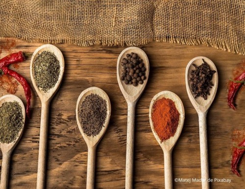 5 épices exotiques à cultiver dans votre jardin